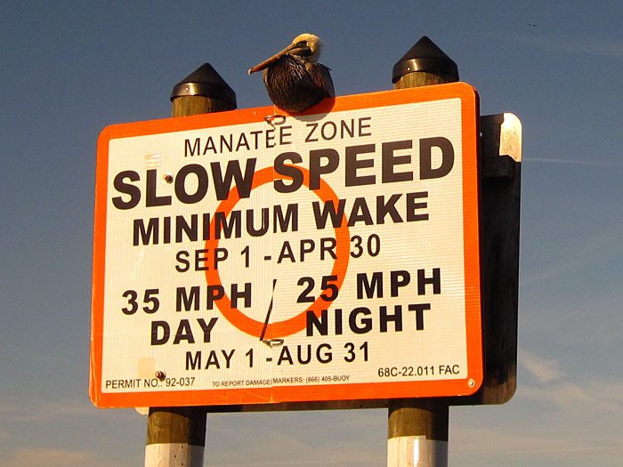 Crystal River Florida Manatee Conservation Zones