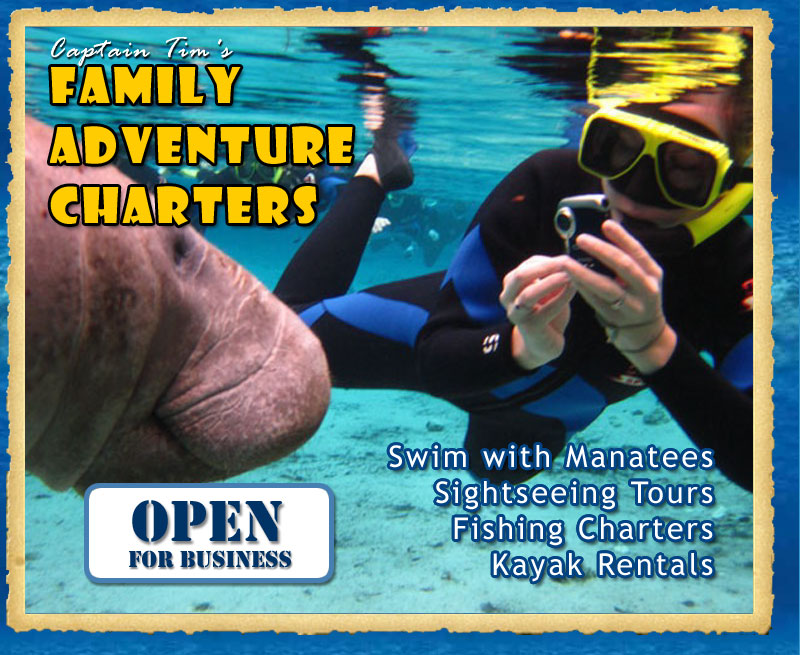 Swim with Manatees Tour