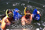 Scalloping