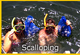 Florida Scalloping Trips