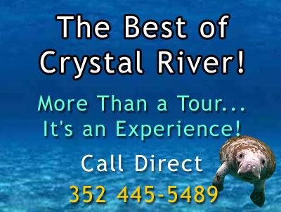 Crystal River Manatee